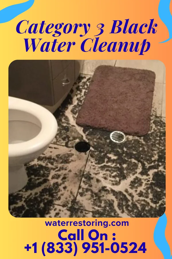 Category 3 Black Water Cleanup in Granite Shoals, TX