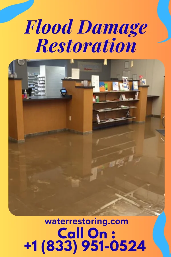 Flood Damage Restoration in Granite Shoals, TX