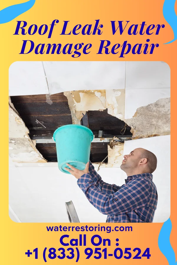 Roof Leak Water Damage Repair in Granite Shoals, TX